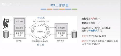 計算機(jī)網(wǎng)絡(luò)應(yīng)用層核心技術(shù) 從C/S到P2P，從DNS到HTTP